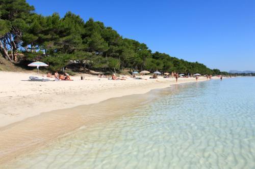Blanca * Can Picafort (Mallorca)